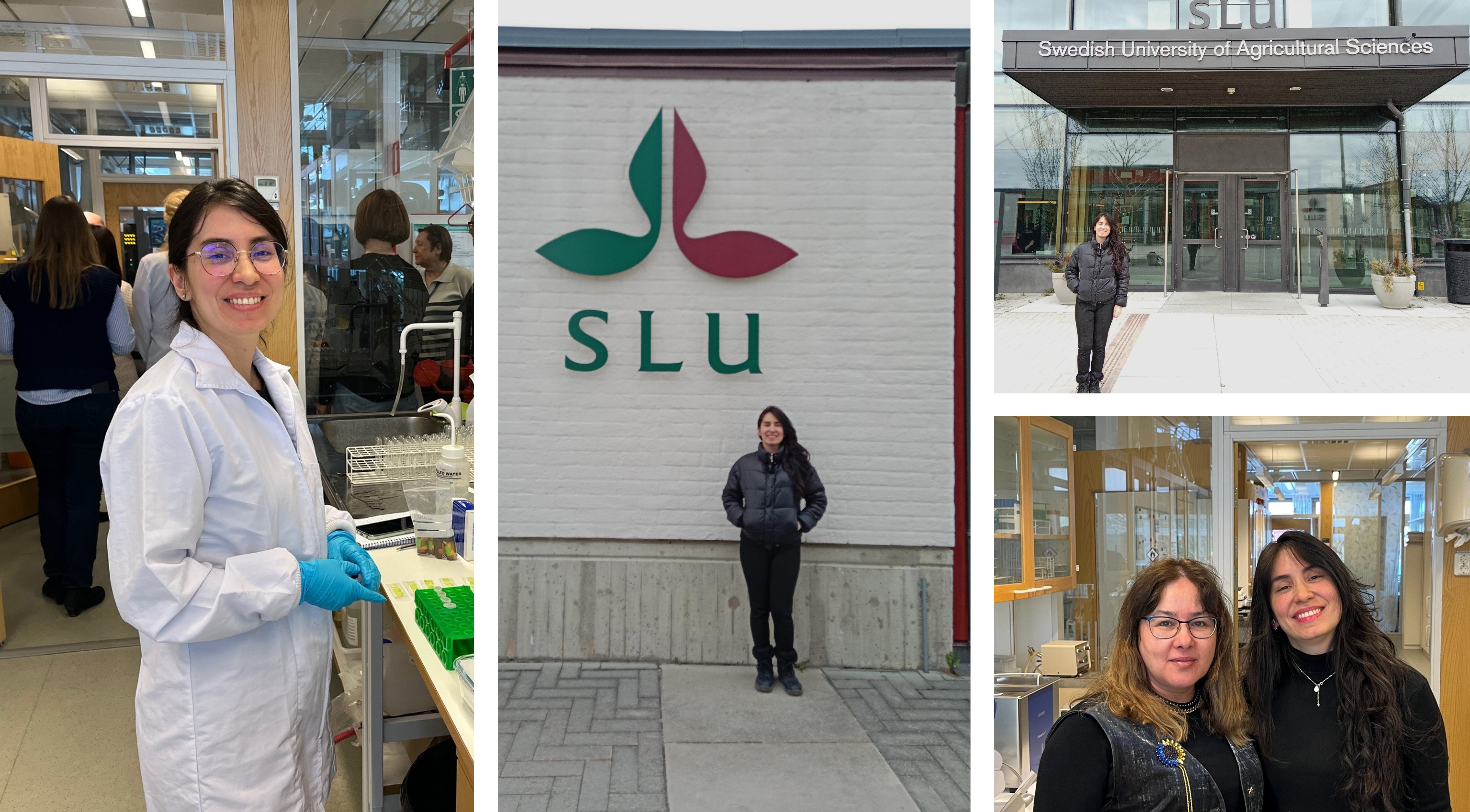 cereminia bienvenida doctorados 2025 jpg