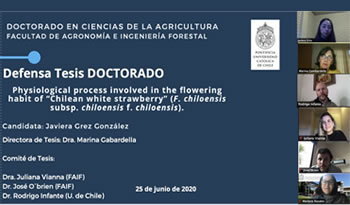 not tesis Javiera Grez