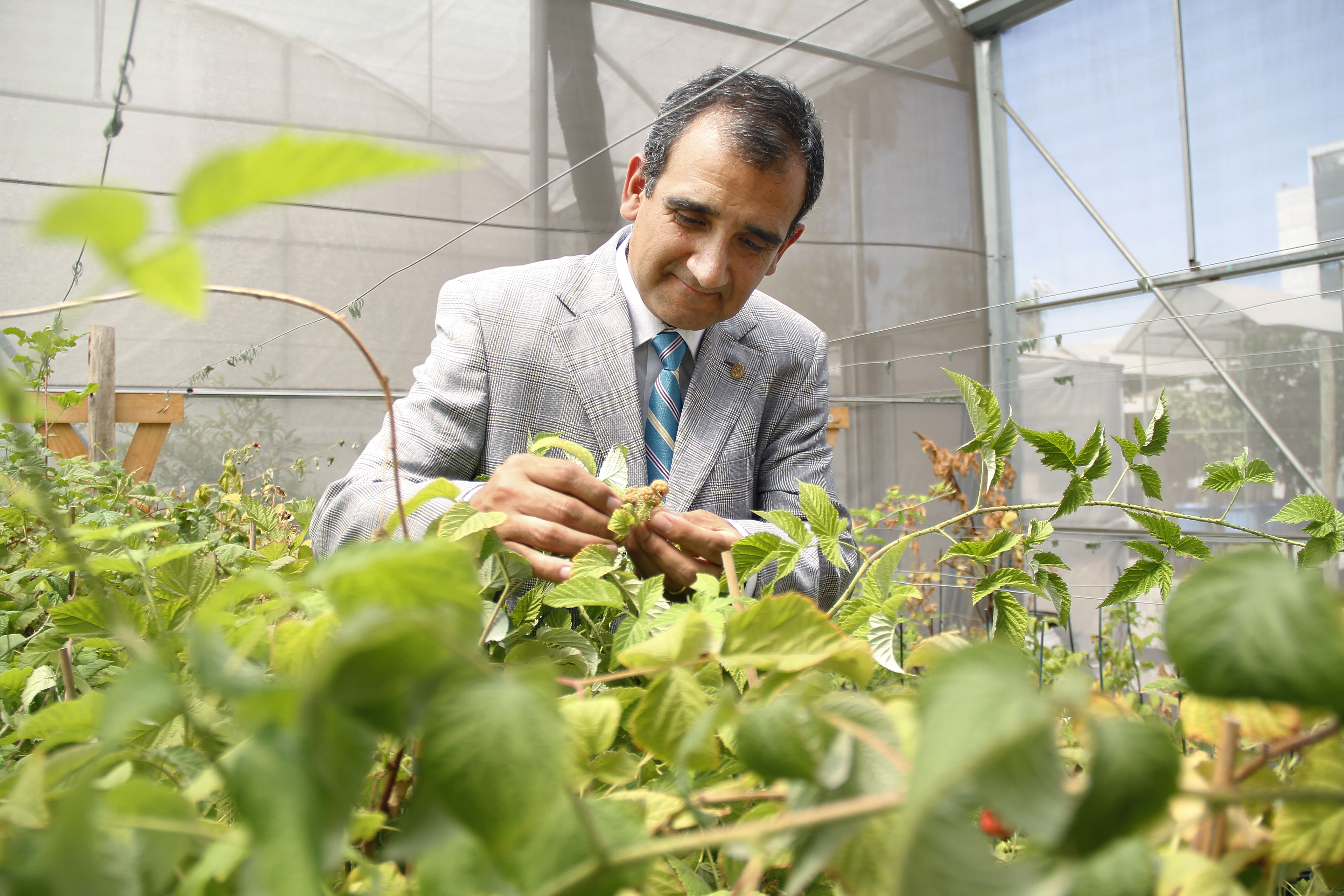 encuentro estudiantes
