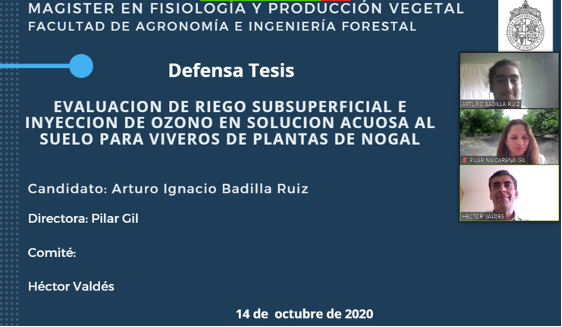 not tesis Luna Menares