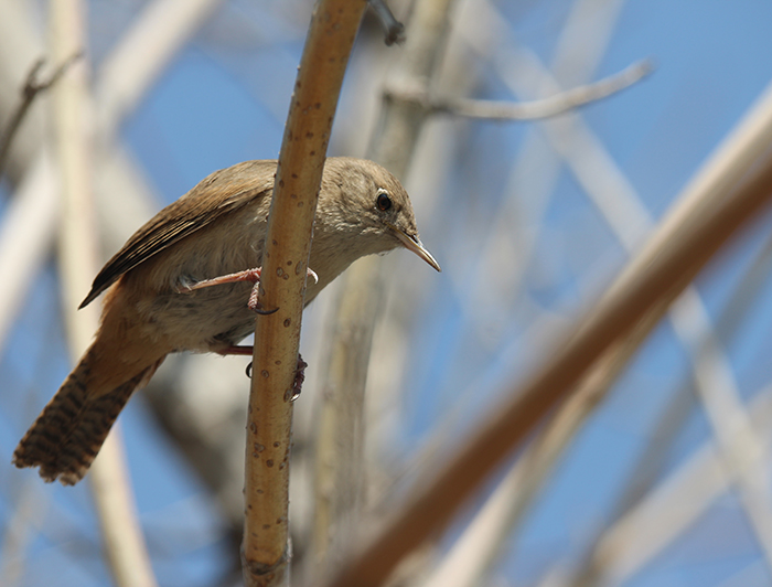 encuentro estudiantes