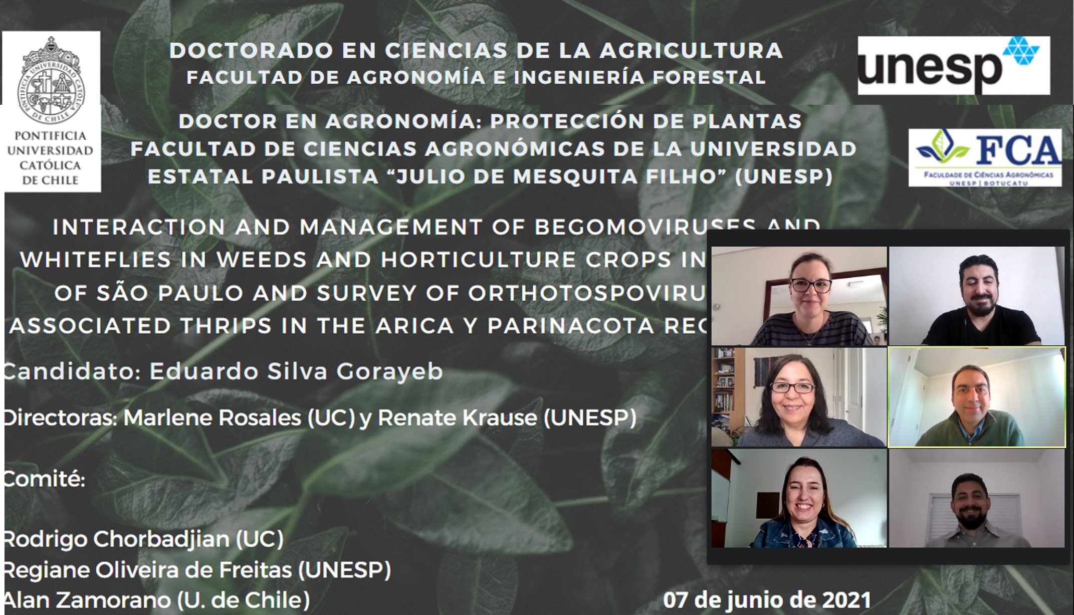 not tesis Luna Menares