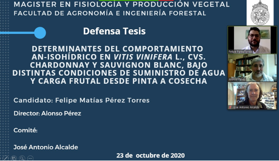 not tesis Luna Menares