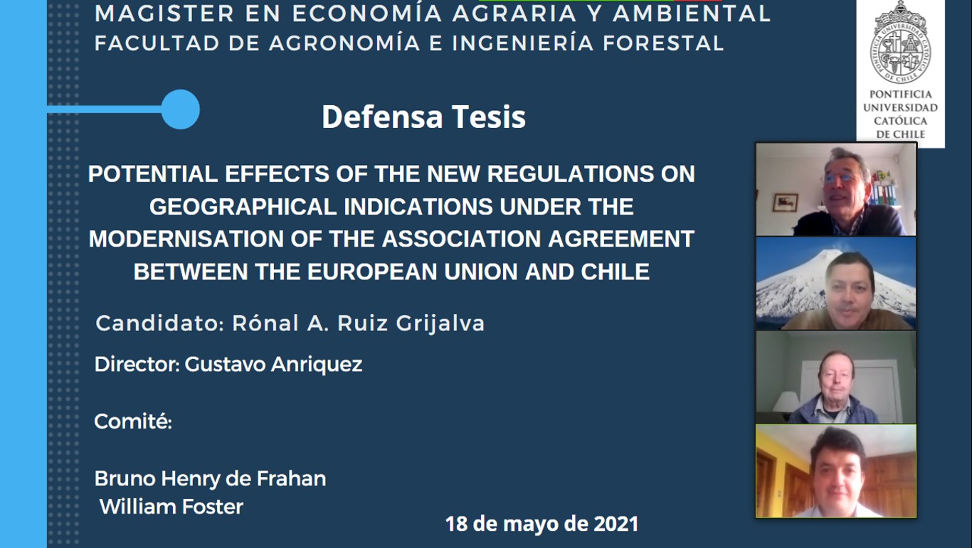 not tesis Luna Menares