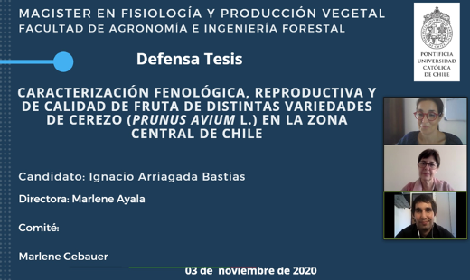 not tesis Luna Menares