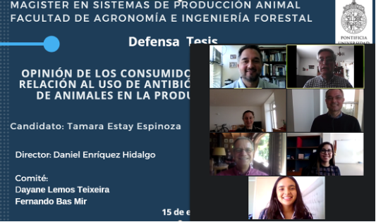 not tesis Luna Menares