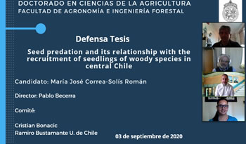 MariaJose Crorrea TDoctoral