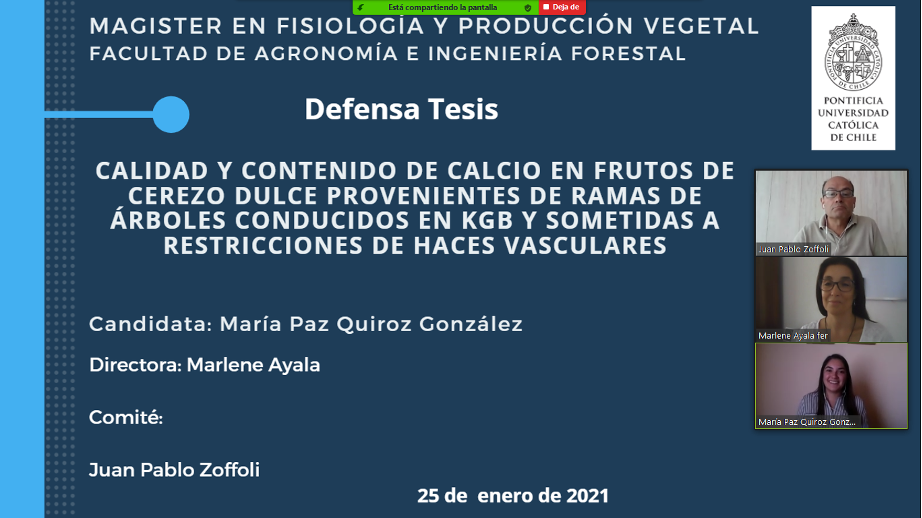 not tesis Luna Menares