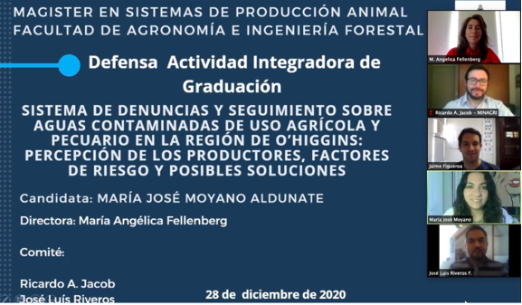 not tesis Luna Menares