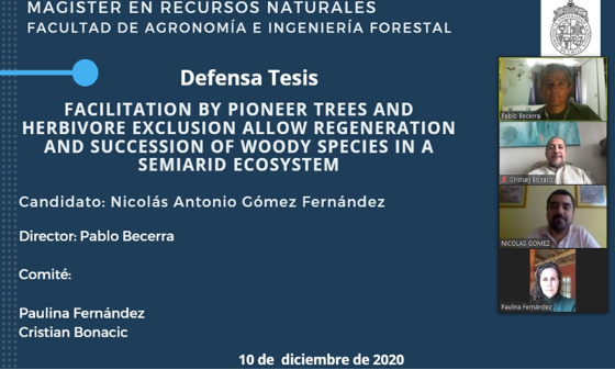 not tesis Luna Menares