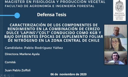 not tesis Luna Menares