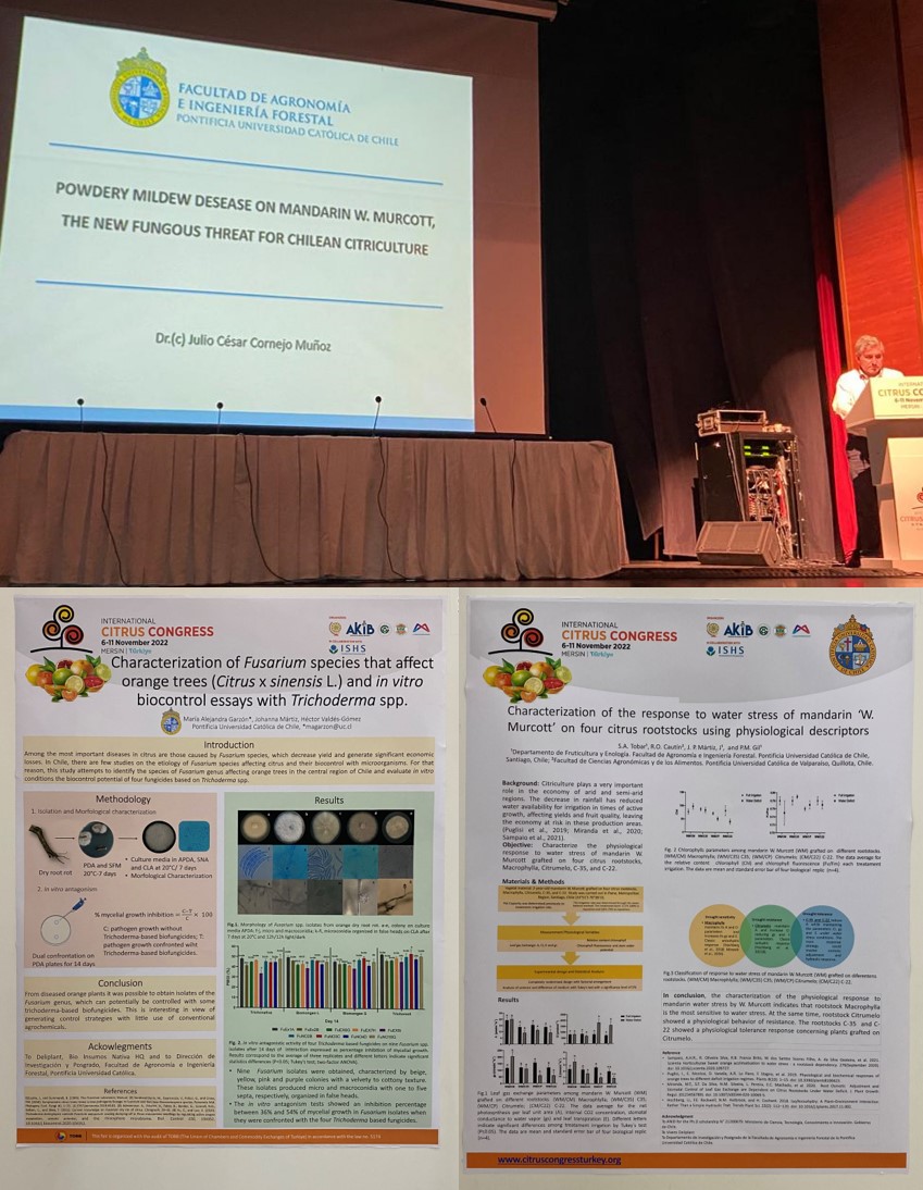 not tesis Luna Menares