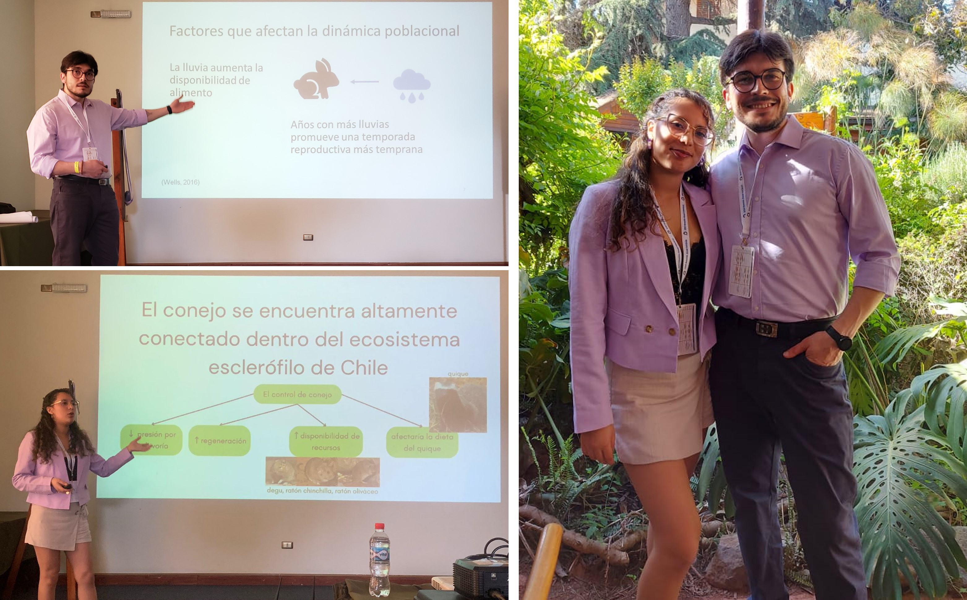 not tesis Luna Menares