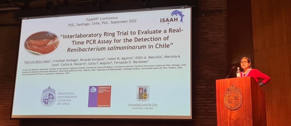 not tesis Luna Menares