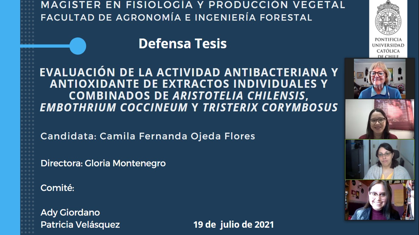 not tesis Luna Menares