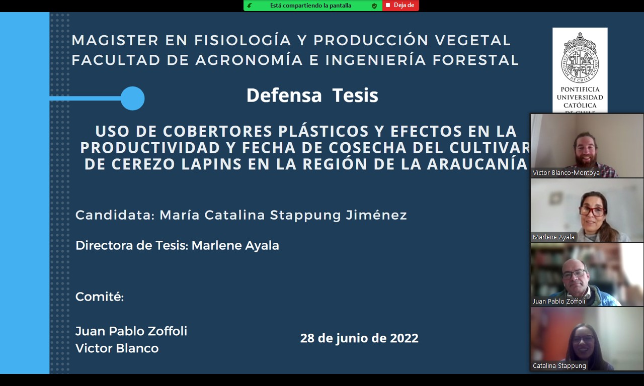 not tesis Luna Menares