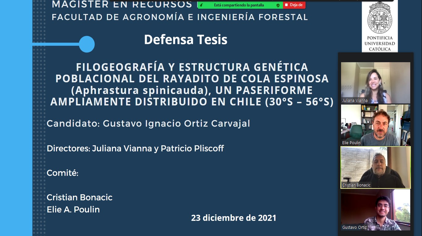 not tesis Luna Menares