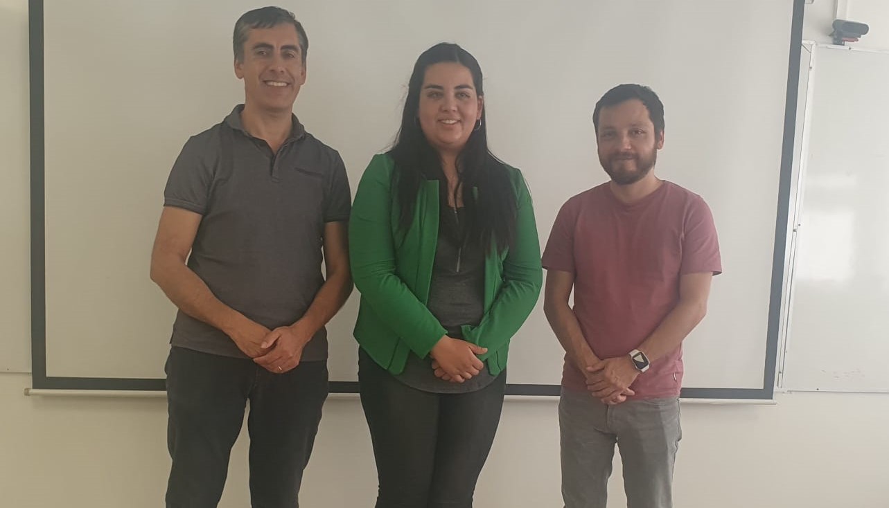 not tesis Luna Menares