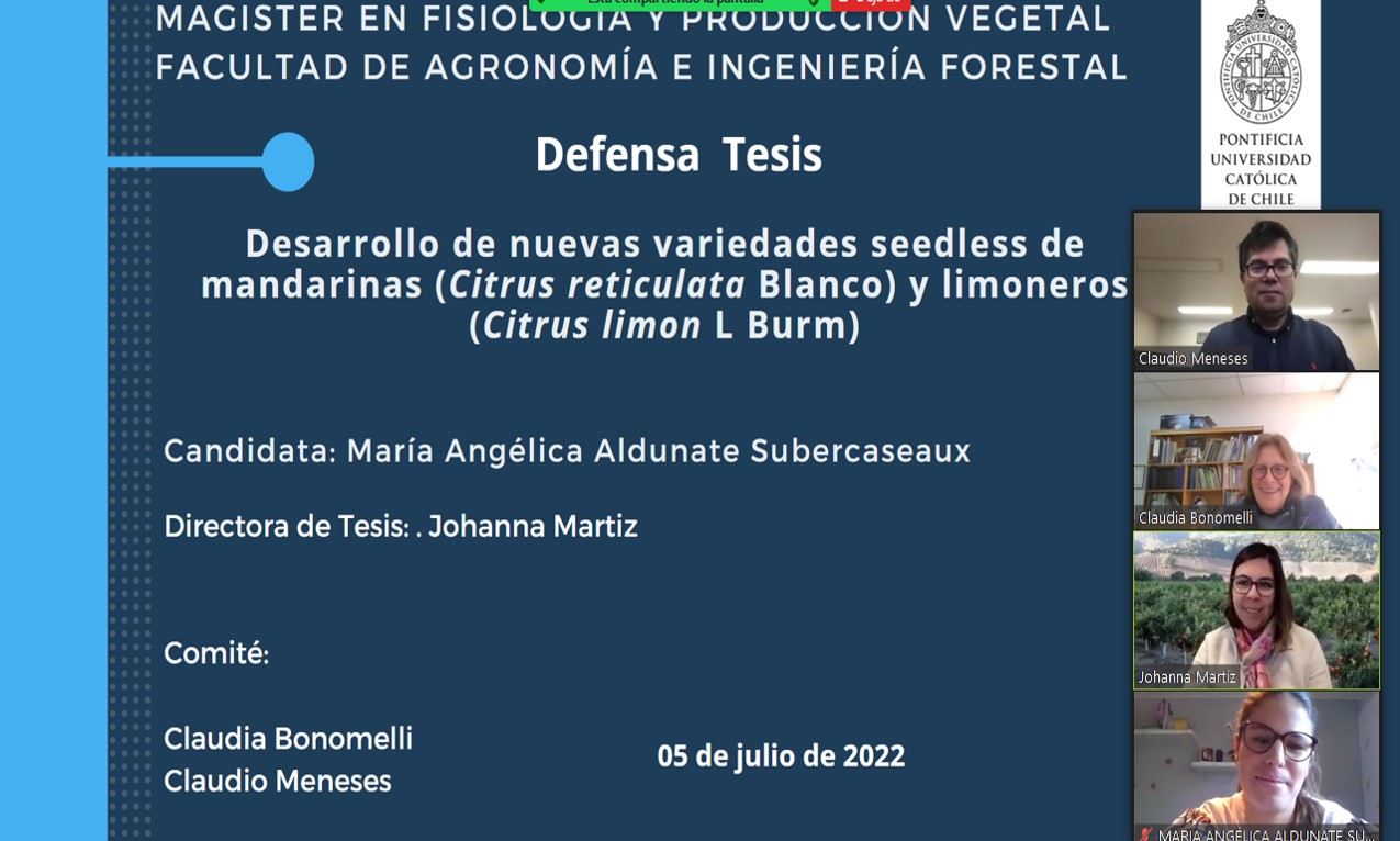 not tesis Luna Menares