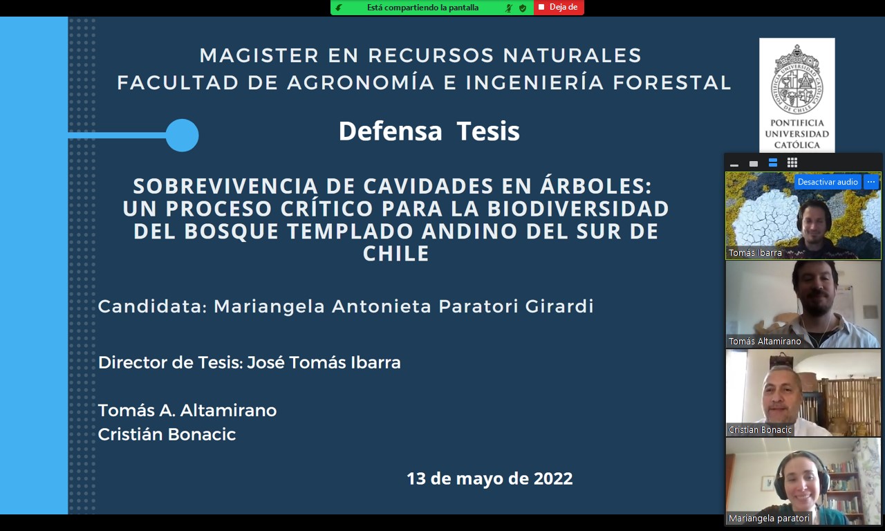 not tesis Luna Menares