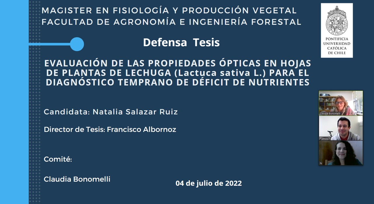 not tesis Luna Menares