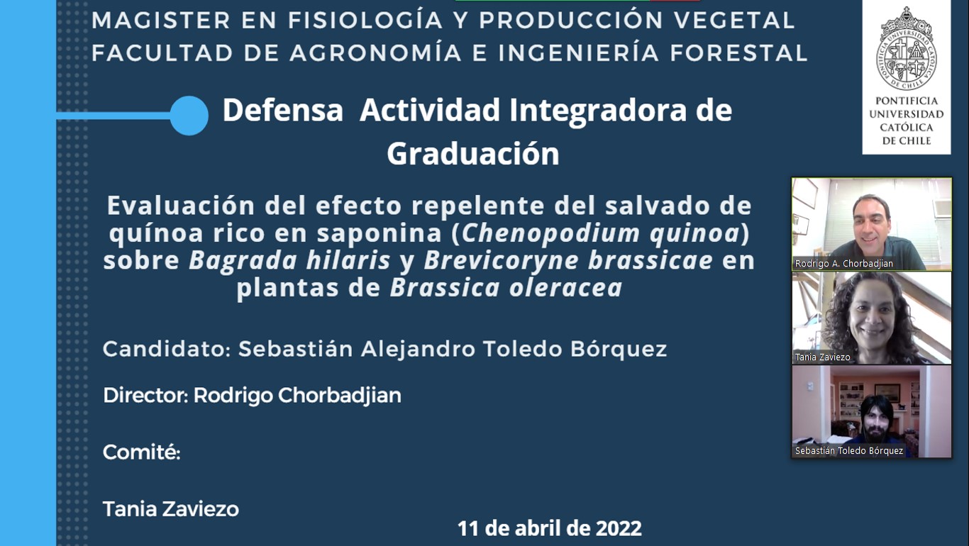 not tesis Luna Menares