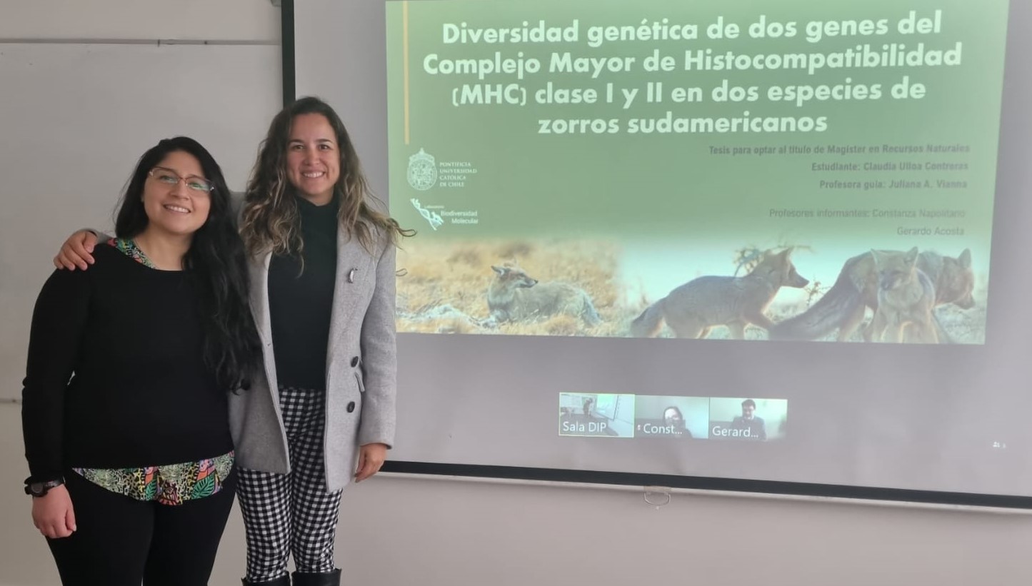 not tesis Luna Menares