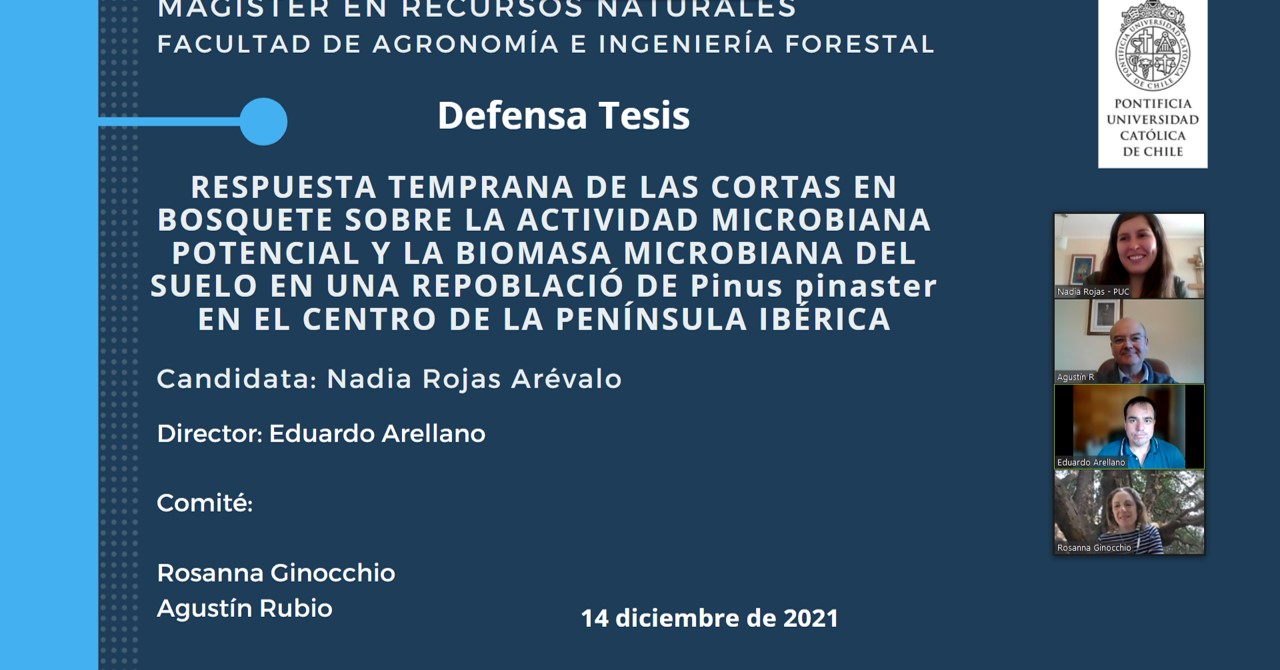 not tesis Luna Menares