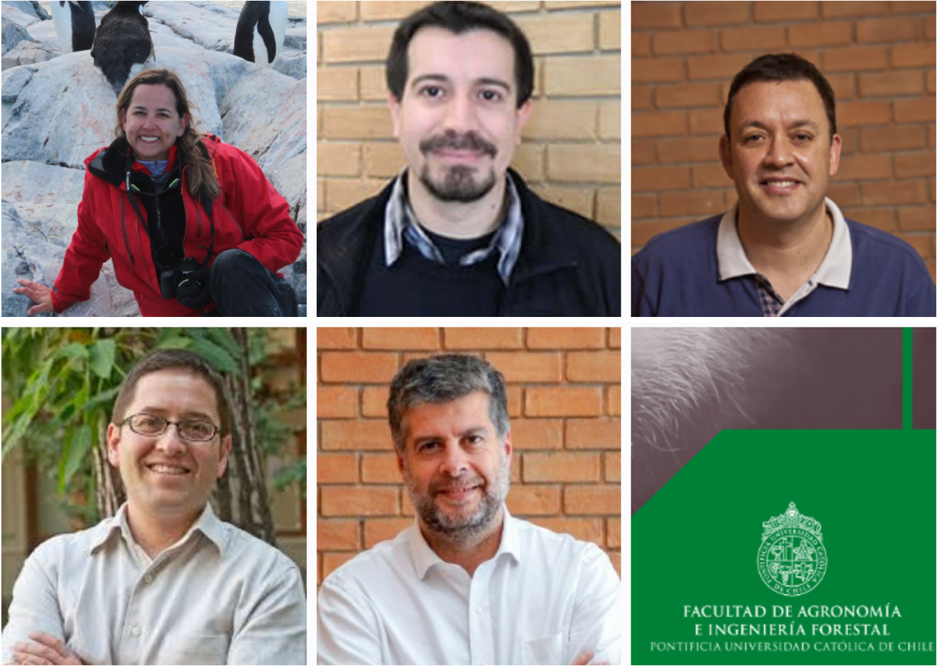 not tesis Luna Menares