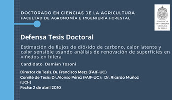 not tesis Damian Tosoni