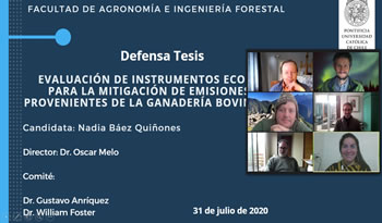 not tesis Nadia Baez