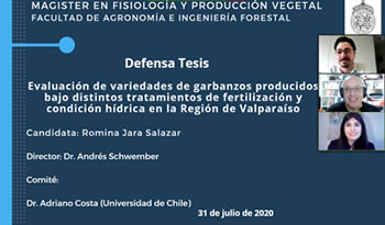 not tesis Nadia Baez