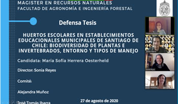 not tesis Sofia Herrera