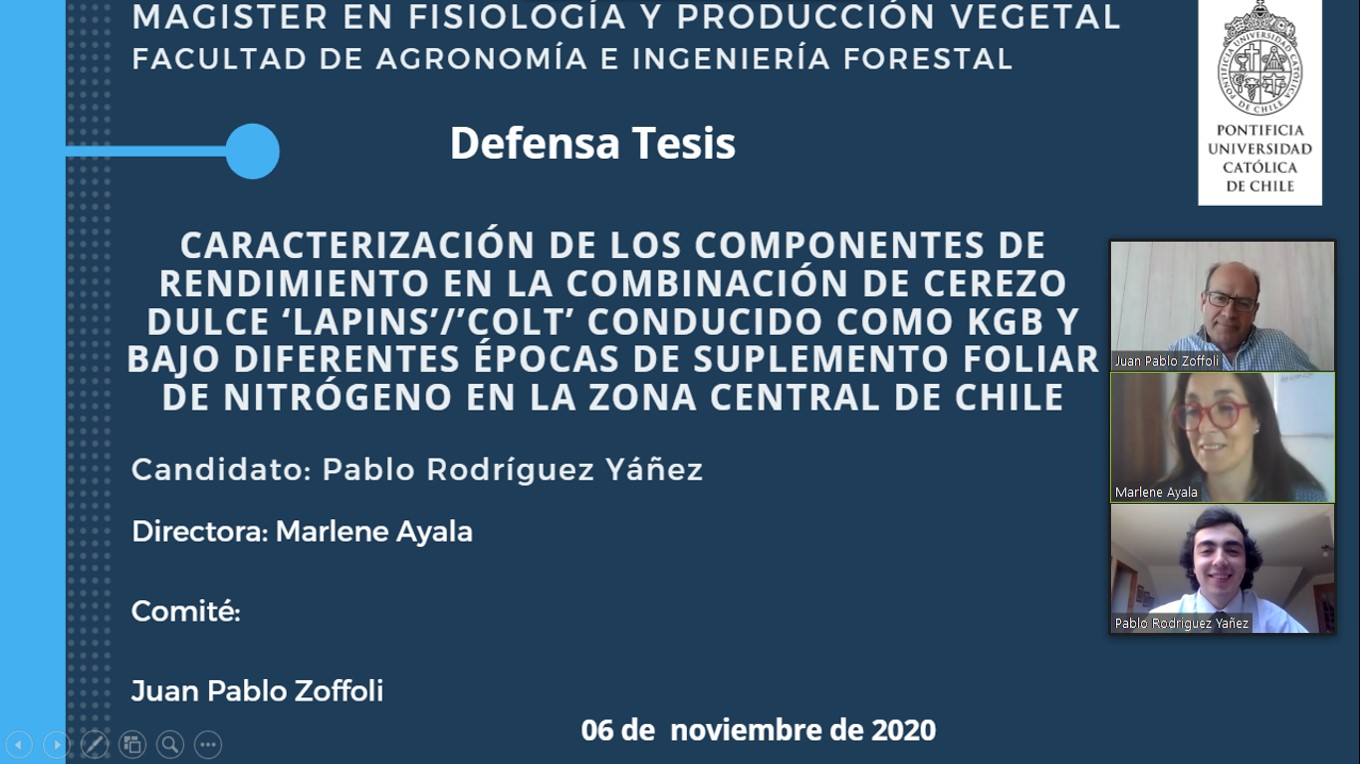 not tesis Luna Menares