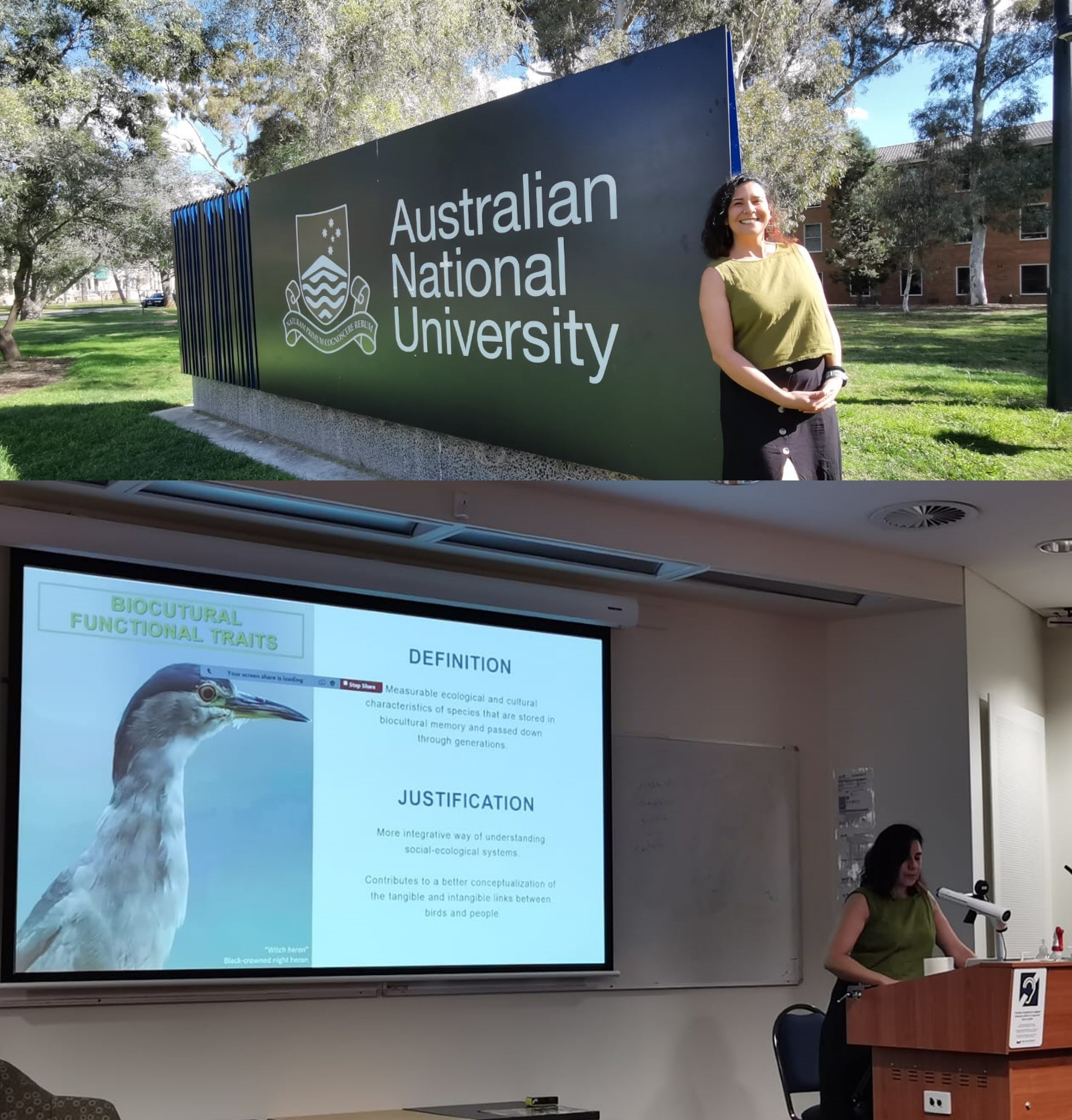 not tesis Luna Menares