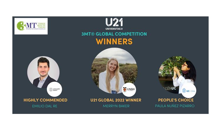 not tesis Luna Menares