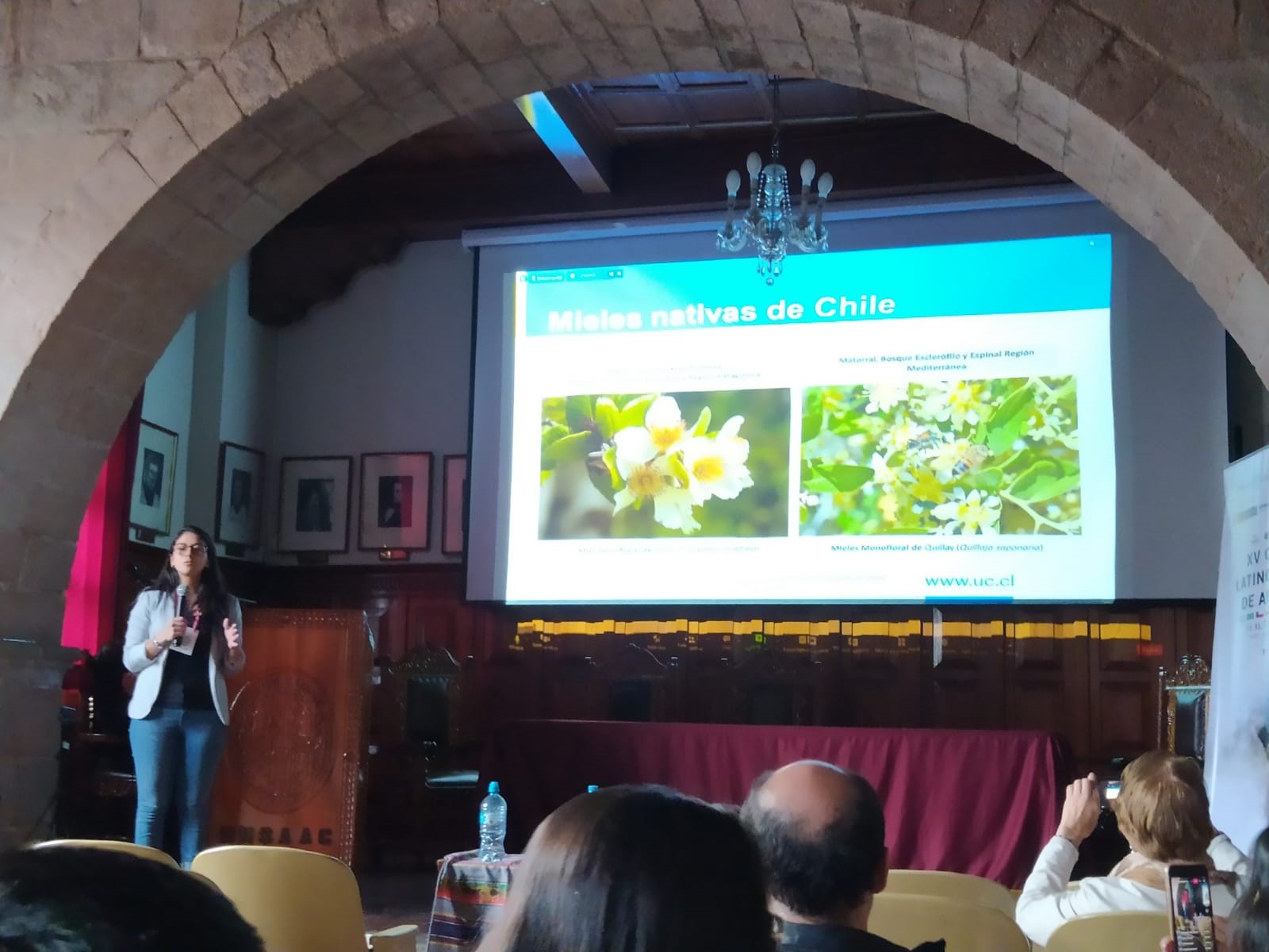 not tesis Luna Menares