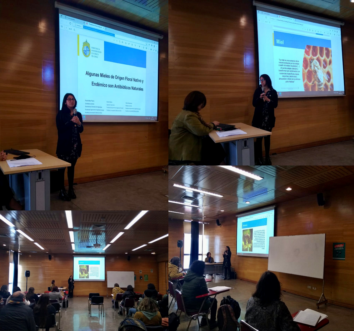 not tesis Luna Menares