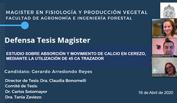 tesis Gerardo Arredondo