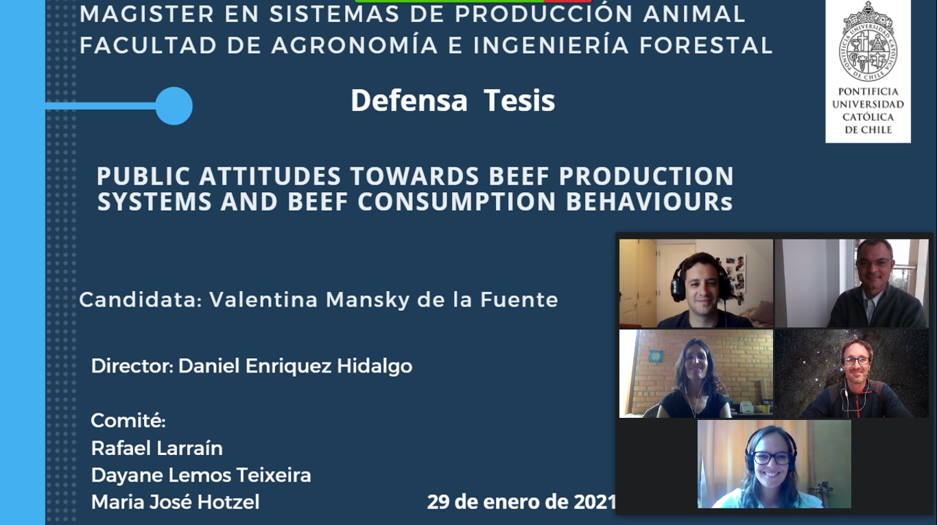 not tesis Luna Menares